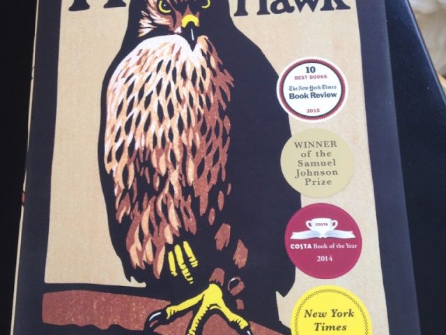 H is for Hawk or leaving the wild
