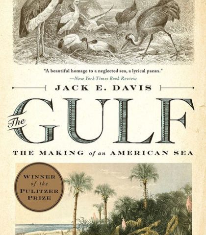 The Gulf (2017)